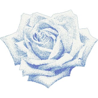Rosa Blu
